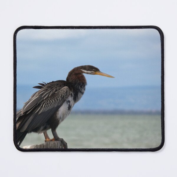 Item preview, Australasian Darter 4 designed and sold by Harrison Lucas.