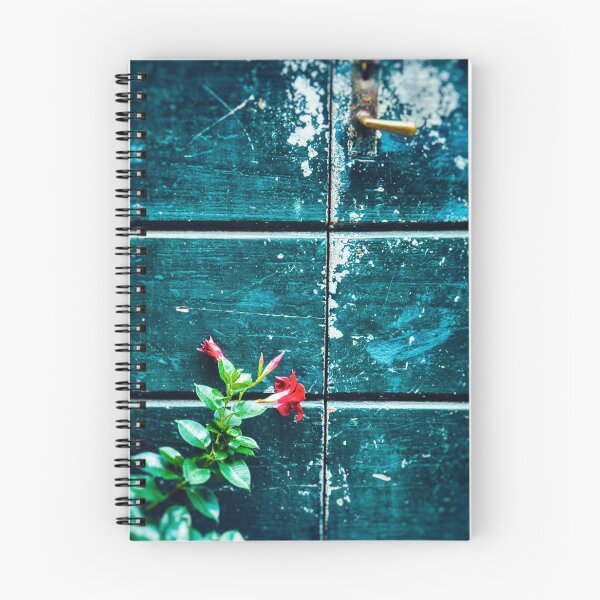 Item preview, Red flower against old door designed and sold by Silvia Ganora.