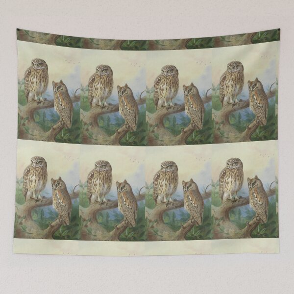 Item preview, Little Owl and Scops Owl by Archibald Thorburn designed and sold by Amanda1775.