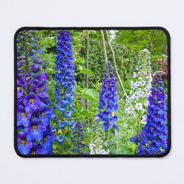 Item preview, Delphiniums  designed and sold by Alisonchambers2.