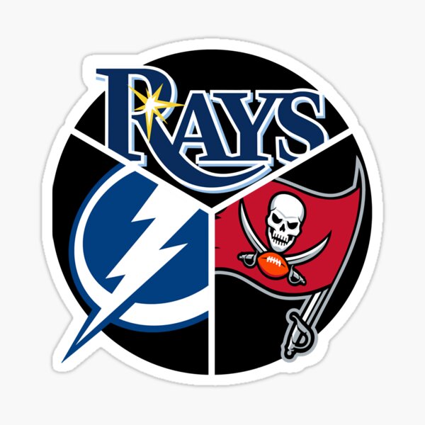 Tampa Bay Professional Sport Teams