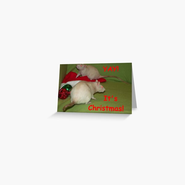 Christmas Rat Gifts Merchandise Redbubble - christmas team turtle v1 roblox