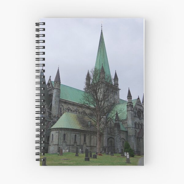 Item preview, Nidaros Cathedral in Trondheim, Norway designed and sold by The Botanical Jason.