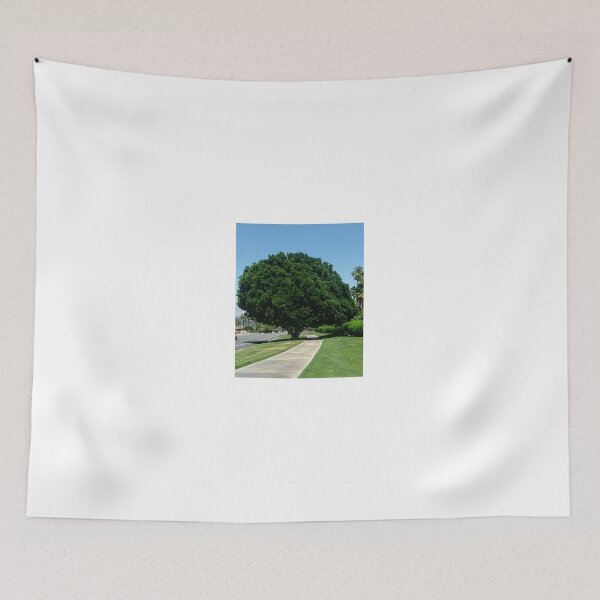 Item preview, MAJESTIC TREE PALM DESERT, CALIFORNIA designed and sold by JAYMILO.