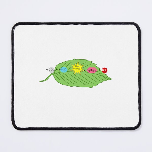 Item preview, Photosynthesis designed and sold by The Botanical Jason.