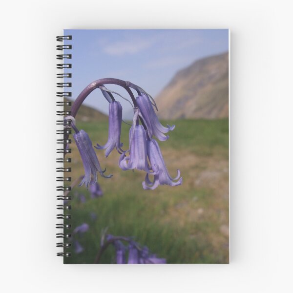 Item preview, Bluebell (Hyacinthoides non-scripta) designed and sold by IOMWildFlowers.
