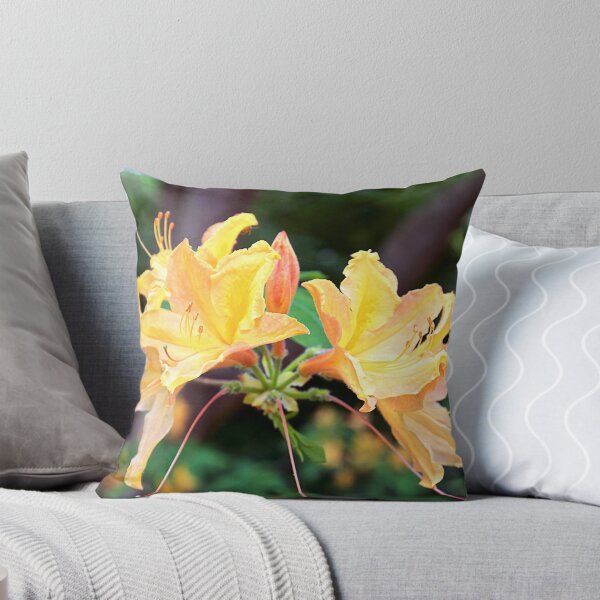 Item preview, The Glory of Spring designed and sold by John Thurgood.