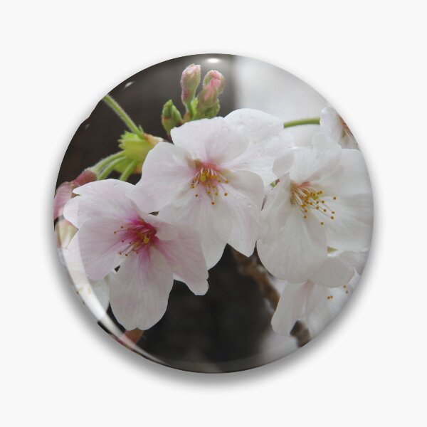 Item preview, Sakura Blossoms designed and sold by The Botanical Jason.