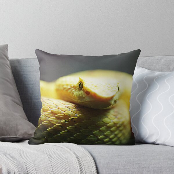 Item preview, Eyelash Viper designed and sold by caradione.