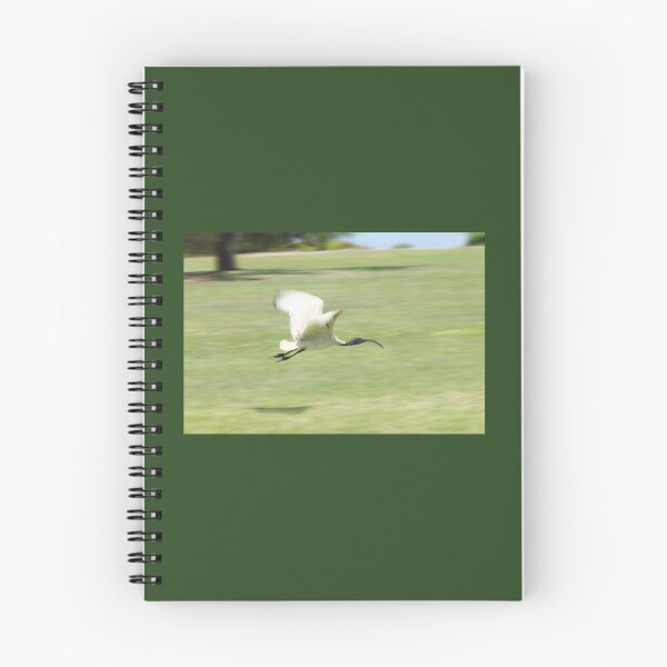 Item preview, Flying Ibis designed and sold by Jola Martysz.