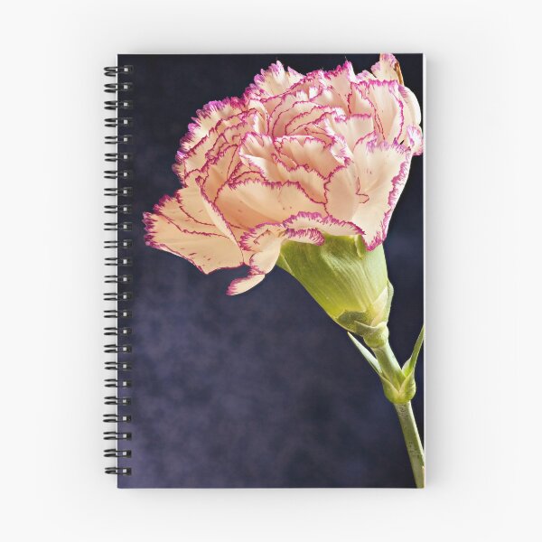 Item preview, Single white purple Terry carnation flower designed and sold by mrivserg.