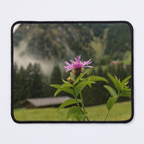 Item preview, Oberstdorf mountain knapweed mountain panorama - Allgäu Alps 8 designed and sold by xP42.