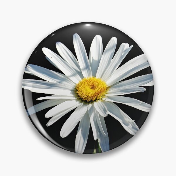 Item preview, A single daisy in Sunlight designed and sold by dabingboshi.