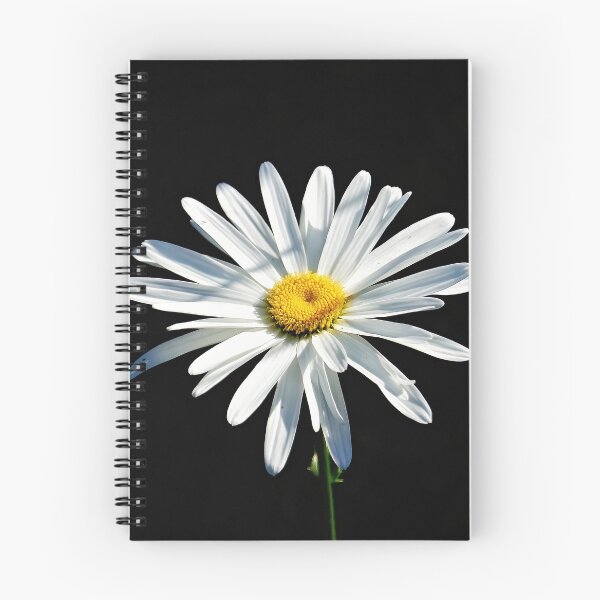 Item preview, A single daisy in Sunlight designed and sold by dabingboshi.