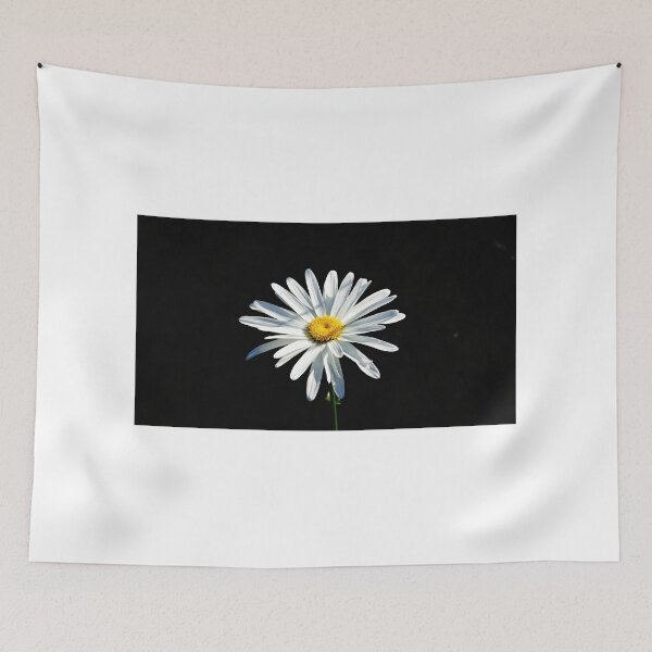 Item preview, A single daisy in Sunlight designed and sold by dabingboshi.