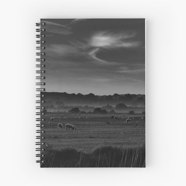 Item preview, Romney Sheep designed and sold by Kim Slater.