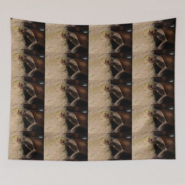 Item preview, Turtle Bath-Time designed and sold by Evita.