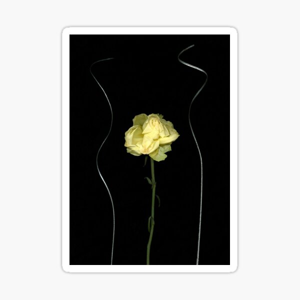 New Year Rose 2 Dark Floral Sticker