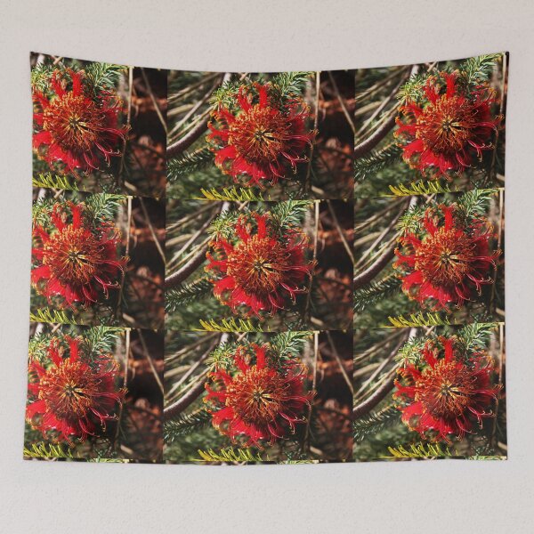 Item preview, Hakea Bakeriana designed and sold by Evita.