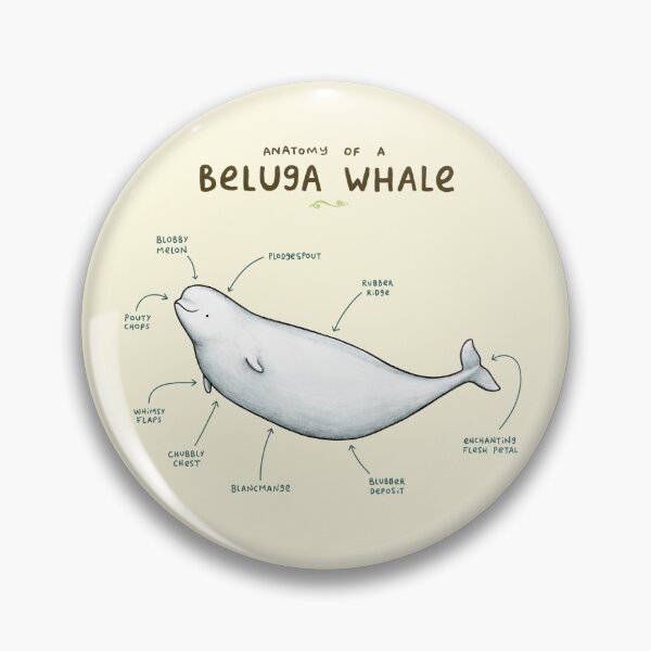 Item preview, Anatomy of Beluga Whale designed and sold by SophieCorrigan.