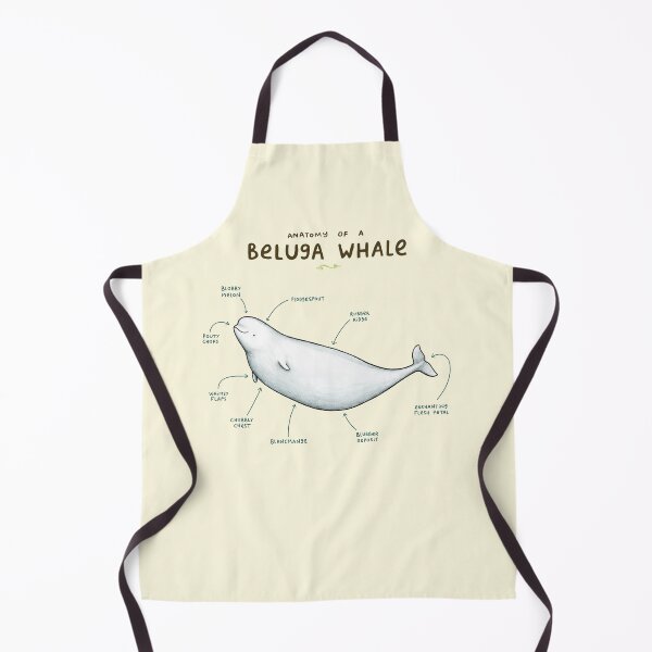 Item preview, Anatomy of Beluga Whale designed and sold by SophieCorrigan.