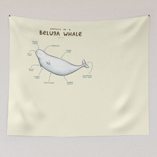 Item preview, Anatomy of Beluga Whale designed and sold by SophieCorrigan.