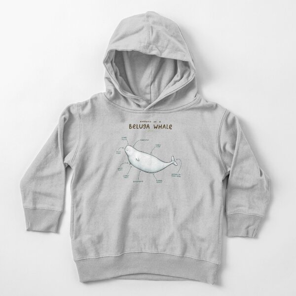 Item preview, Anatomy of Beluga Whale designed and sold by SophieCorrigan.
