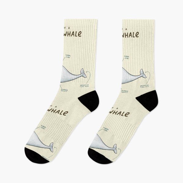 Item preview, Anatomy of Beluga Whale designed and sold by SophieCorrigan.
