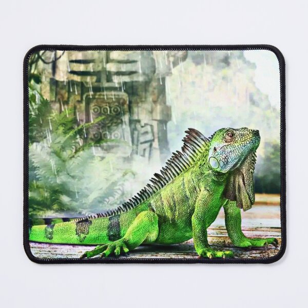 Item preview, Green Iguana | American Green Iguana | Green Iguana Lovers designed and sold by Khan-Baba.