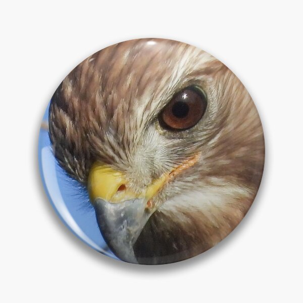 Item preview, Hawk Eye #0001 designed and sold by Jeffrey Mask.