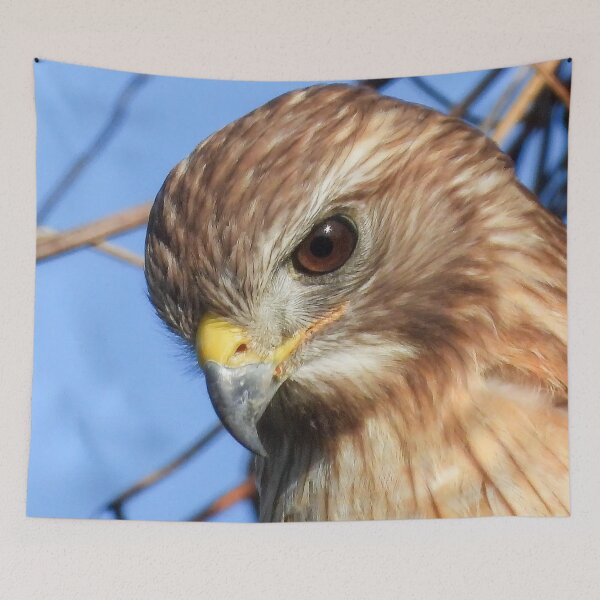 Item preview, Hawk Eye #0001 designed and sold by Jeffrey Mask.