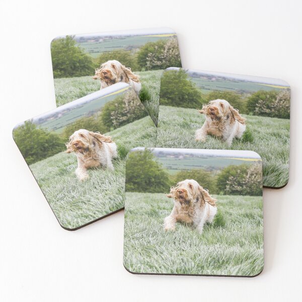 Item preview, Running up that hill Spinone by heidiannemorris © designed and sold by FOLK ART FUSION by heidiannemorris.