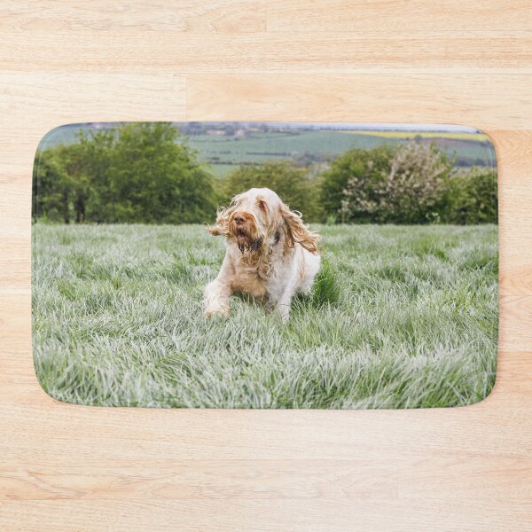 Item preview, Running up that hill Spinone by heidiannemorris © designed and sold by FOLK ART FUSION by heidiannemorris.