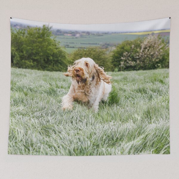 Item preview, Running up that hill Spinone by heidiannemorris © designed and sold by FOLK ART FUSION by heidiannemorris.