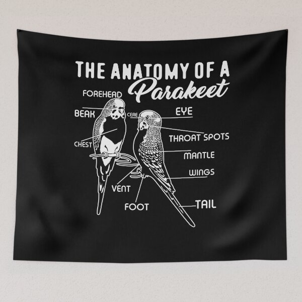 Item preview, The Anatomy Of a Parakeet designed and sold by UnknownArtistt.