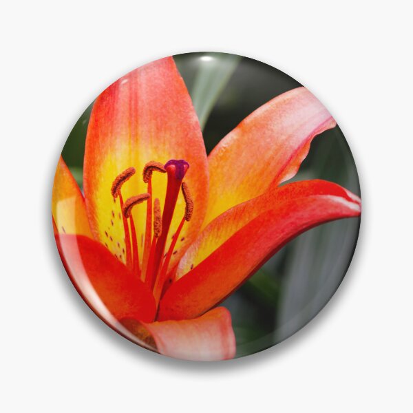 Item preview, Lillies designed and sold by David Lewins.
