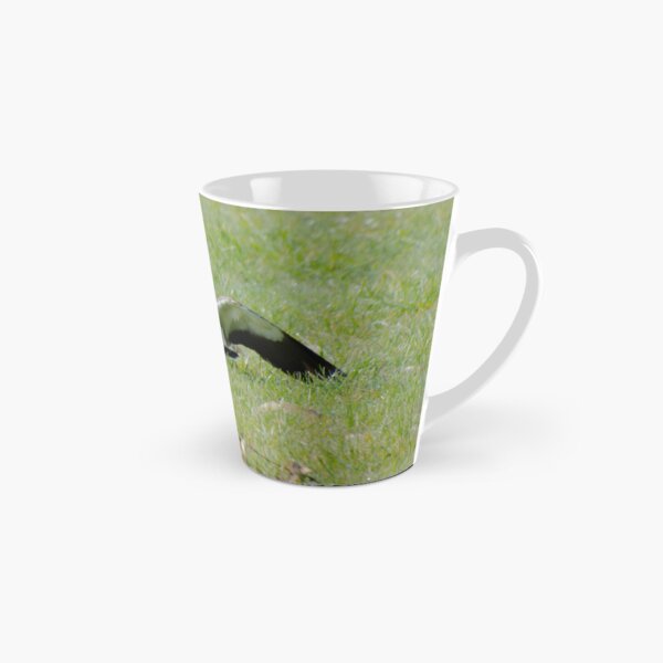 LAPWING ~ Masked Lapwing 74VXQFMR by David Irwin 06012021 Tall Mug