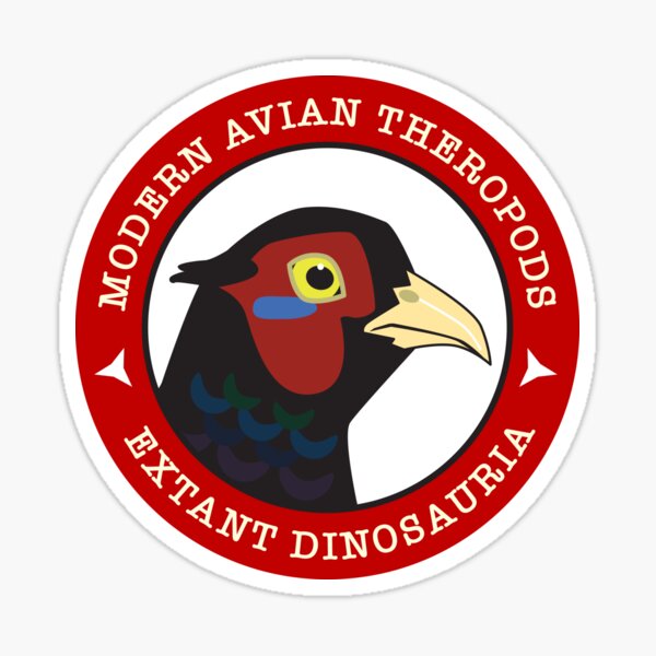 Item preview, Modern Avian Theropods - Extant Dinosauria: Phasianus designed and sold by GaffaMondo.