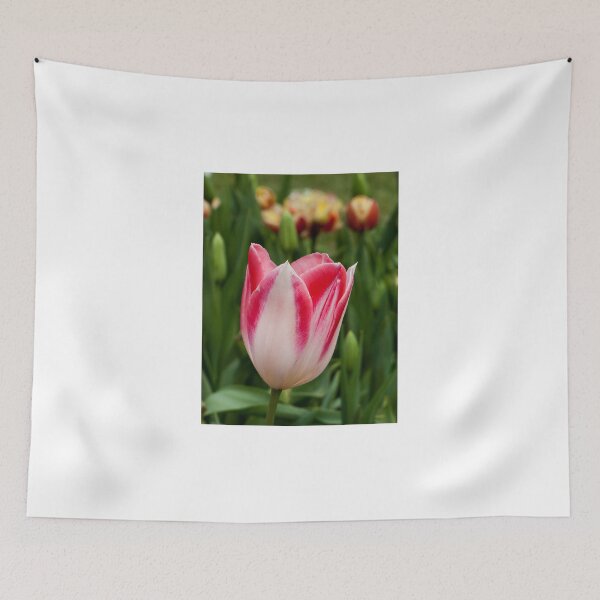 Item preview, Red and White Tulip designed and sold by DPalmer.