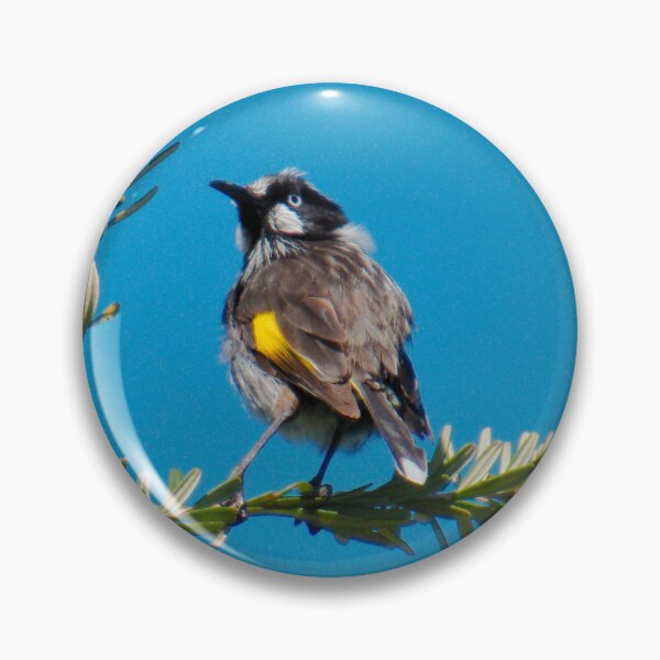 Item preview, HONEYEATER ~ New Holland Honeyeater WPzmzyyg by David Irwin 06012021 designed and sold by tasmanianartist.