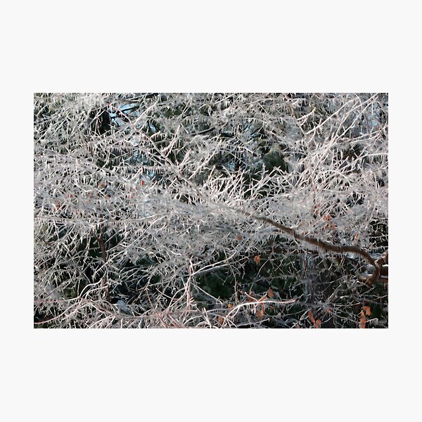ice dreams Photographic Print