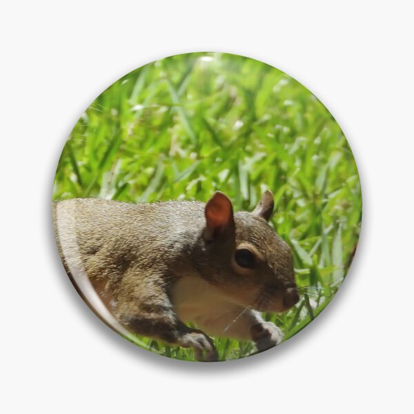 Item preview, Cute Squirrel #0035 designed and sold by Jeffrey Mask.
