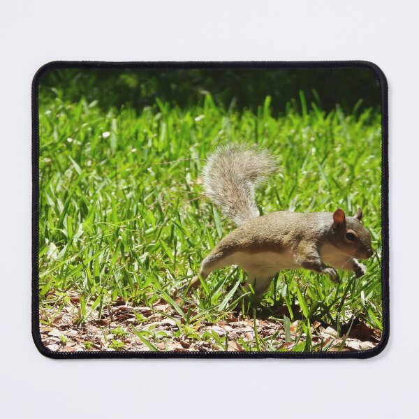 Item preview, Cute Squirrel #0035 designed and sold by Jeffrey Mask.