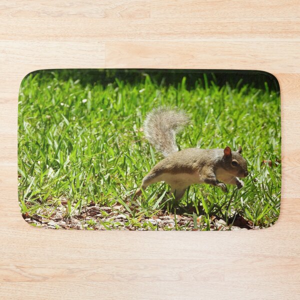 Item preview, Cute Squirrel #0035 designed and sold by Jeffrey Mask.