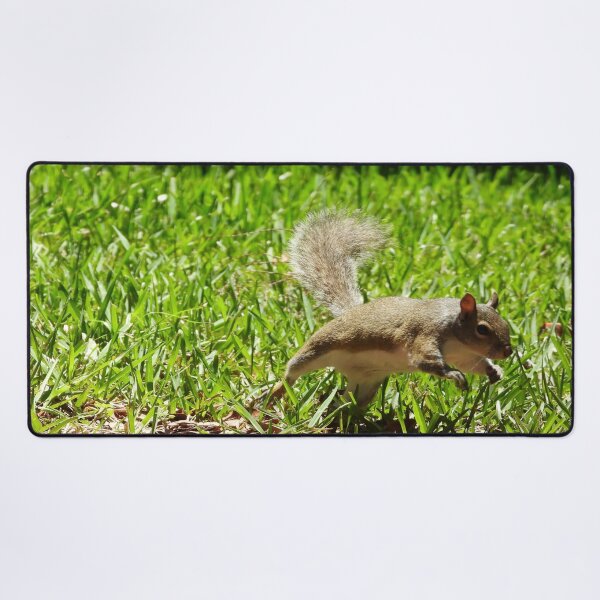 Item preview, Cute Squirrel #0035 designed and sold by Jeffrey Mask.
