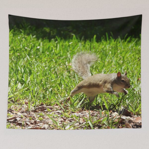 Item preview, Cute Squirrel #0035 designed and sold by Jeffrey Mask.