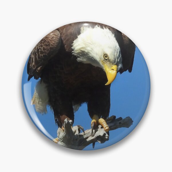 Item preview, American Bald Eagle #0001 designed and sold by Jeffrey Mask.