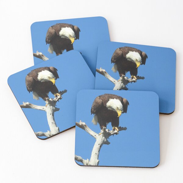 Item preview, American Bald Eagle #0001 designed and sold by Jeffrey Mask.