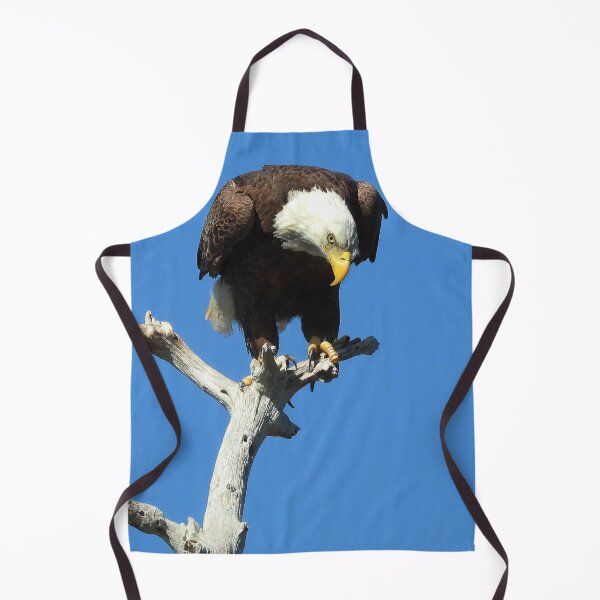 Item preview, American Bald Eagle #0001 designed and sold by Jeffrey Mask.