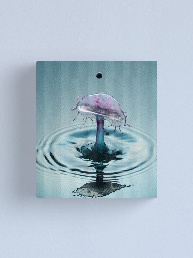 Zen Water Droplet Art: Canvas Prints, Frames & Posters